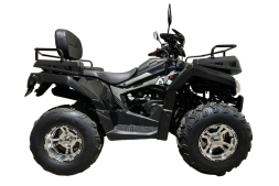 Квадроцикл RATO 200 LD Premium GT, фото 2