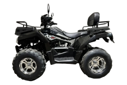 Квадроцикл RATO 200 LD Premium GT, фото 1