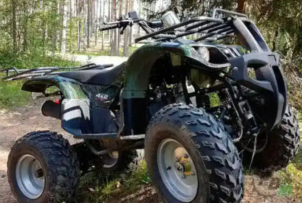 Квадроцикл WELS Thunder 200, фото 5