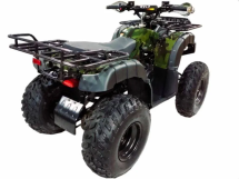 Квадроцикл WELS Thunder 200