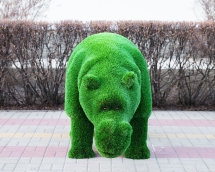 Топиари Бегемот Чипо - газон Deluxe Топиари Бегемот Чипо - газон Deluxe