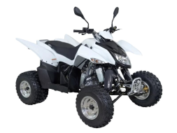 Квадроцикл SYM QuadRaider 300 SS, фото 2 Квадроцикл SYM QuadRaider 300 SS, фото 2