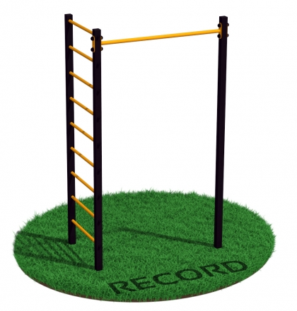 Уличный турник + шведская стенка Record RW-1 профиль 60х60 х 2 мм, фото 1