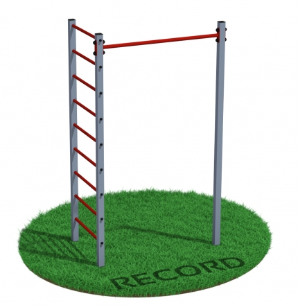 Уличный турник + шведская стенка Record RW-1 профиль 60х60 х 2 мм, фото 2