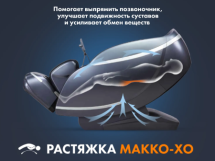 Массажное кресло FUJIMO GURU F700 Серый