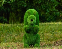 Топиари Белочка с кольцом под кашпо газон Eco Топиари Белочка с кольцом под кашпо газон Eco