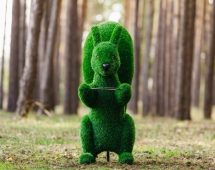 Топиари Белочка с кольцом под кашпо газон Eco Топиари Белочка с кольцом под кашпо газон Eco