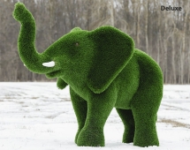 Топиари слон Африканский - газон Premium