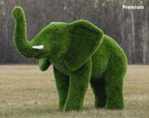 Топиари слон Африканский - газон Premium