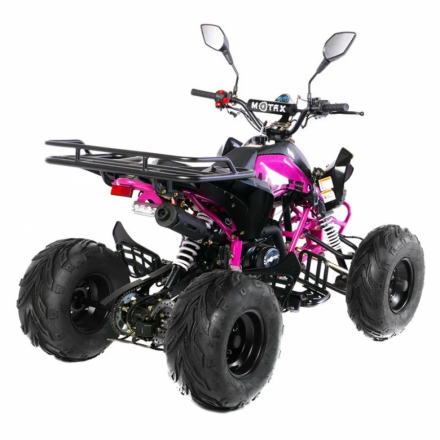 Квадроцикл MOTAX ATV T-Rex-LUX 125 сс, фото 13