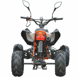 Квадроцикл MOTAX ATV T-Rex-LUX 125 сс, фото 6