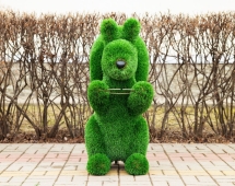 Топиари Белочка с кольцом под кашпо газон Premium Топиари Белочка с кольцом под кашпо газон Premium