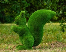 Топиари Белочка с кольцом под кашпо газон Premium Топиари Белочка с кольцом под кашпо газон Premium