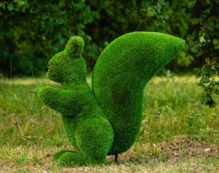 Топиари Белочка с кольцом под кашпо газон Premium, фото 4