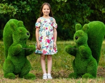 Топиари Белочка с кольцом под кашпо газон Premium Топиари Белочка с кольцом под кашпо газон Premium