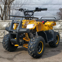 Квадроцикл YACOTA Smarty 110, фото 2 Квадроцикл YACOTA Smarty 110, фото 2