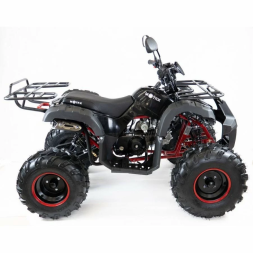 Квадроцикл MOTAX ATV Grizlik-7 110cc, фото 9