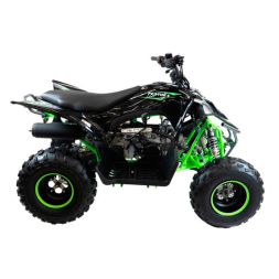 Квадроцикл MOTAX PENTORA 110 сс, фото 2 Квадроцикл MOTAX PENTORA 110 сс, фото 2