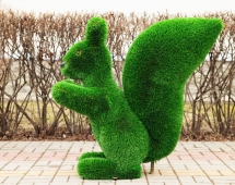 Топиари Белочка с кольцом под кашпо газон Deluxe Топиари Белочка с кольцом под кашпо газон Deluxe