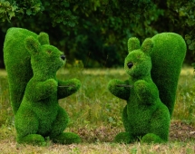 Топиари Белочка с кольцом под кашпо газон Deluxe Топиари Белочка с кольцом под кашпо газон Deluxe