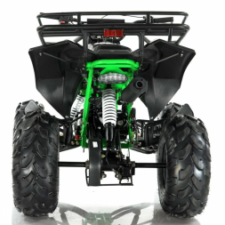 Квадроцикл MOTAX ATV Raptor LUX 125 сс, фото 11