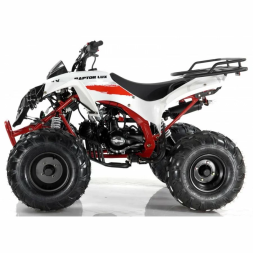 Квадроцикл MOTAX ATV Raptor LUX 125 сс, фото 4