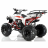 Квадроцикл MOTAX ATV Raptor LUX 125 сс