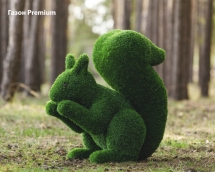 Топиари Белочка - газон Eco Топиари Белочка - газон Eco