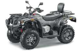 Квадроцикл СТЕЛС ATV 600 YL Leopard, фото 1