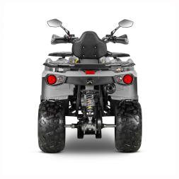 Квадроцикл GLADIATOR F200 Lux Plus, фото 6 Квадроцикл GLADIATOR F200 Lux Plus, фото 6