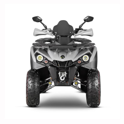 Квадроцикл GLADIATOR F200 Lux Plus, фото 3 Квадроцикл GLADIATOR F200 Lux Plus, фото 3