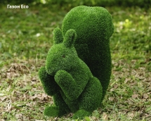 Топиари Белочка - газон Premium Топиари Белочка - газон Premium