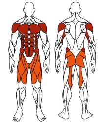 Жим ногами+Брусья (красный) - Уличный тренажер - СТ 023-11, фото 6