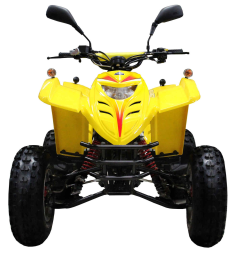 Квадроцикл ADLY 100, фото 3