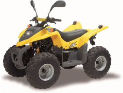 Квадроцикл ADLY 100, фото 1