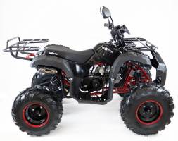 Квадроцикл MOTAX ATV Grizlik-8 125, фото 18 Квадроцикл MOTAX ATV Grizlik-8 125, фото 18