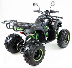 Квадроцикл MOTAX ATV Grizlik-8 125, фото 10 Квадроцикл MOTAX ATV Grizlik-8 125, фото 10