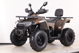 Квадроцикл SHARK III 250, фото 2