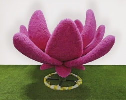 Топиари Один лотос - газон Eco, фото 2