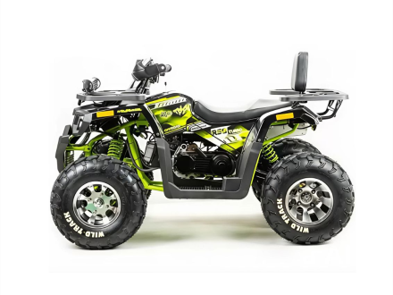 Квадроцикл MOTOLAND 200 Wild Track Pro, фото 3