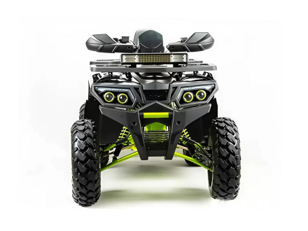 Квадроцикл MOTOLAND 200 Wild Track Pro, фото 2