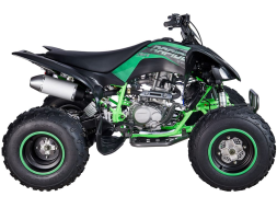 Квадроцикл MIKILON Rapide 250S, фото 3