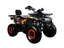 Квадроцикл AVANTIS H250 BIG NEW Basic