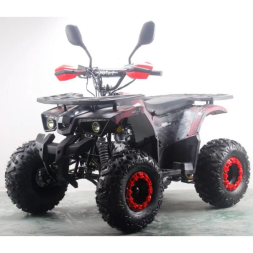 Квадроцикл MOTAX ATV Grizlik W8 125сс, фото 2