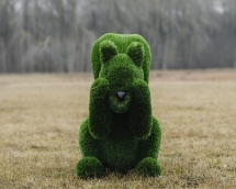 Топиари белочка Ку-ку, h=100 см - газон Deluxe Топиари белочка Ку-ку, h=100 см - газон Deluxe