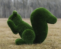 Топиари белочка Ку-ку, h=100 см - газон Deluxe Топиари белочка Ку-ку, h=100 см - газон Deluxe