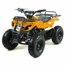 Квадроцикл MOTAX Mini Grizlik X-16 Big Wheel 1000W, фото 1