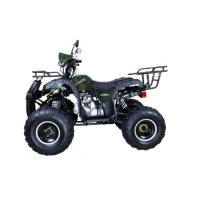 Квадроцикл AVANTIS Hunter 8+ 125 2018