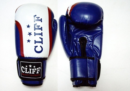 Перчатки бокс DRAGON (FLEX) 12 oz синие, фото 1