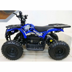 Квадроцикл MOTAX Mini Grizlik X-16 1000W New, фото 19